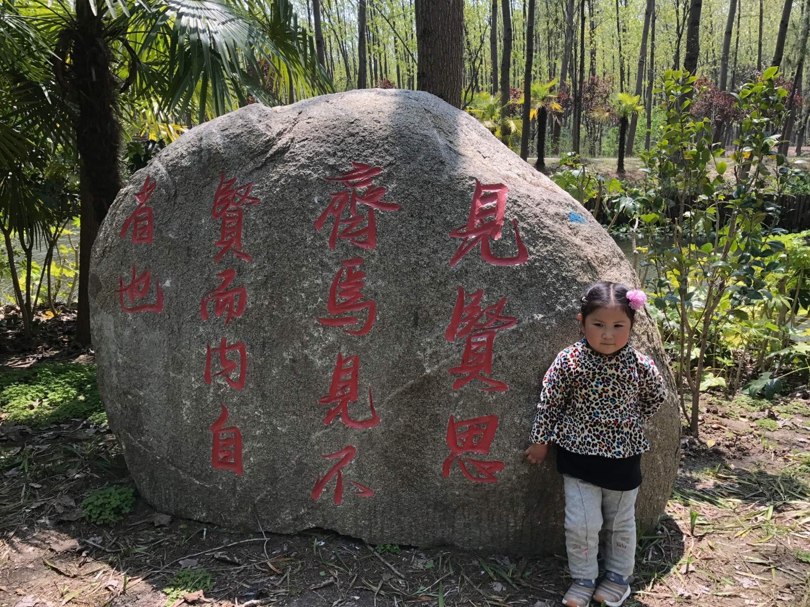 [图片不可识别或已经被删除]